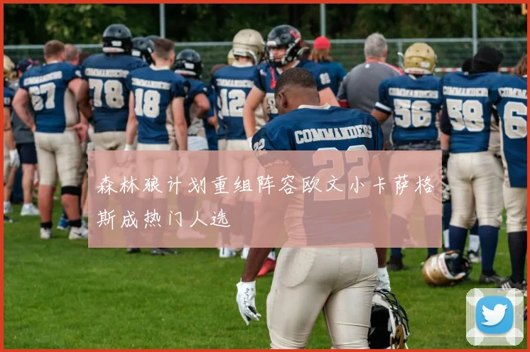 森林狼计划重组阵容欧文小卡萨格斯成热门人选